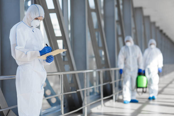 Best Environmental Consulting for Mold Prevention  in Manton, MI