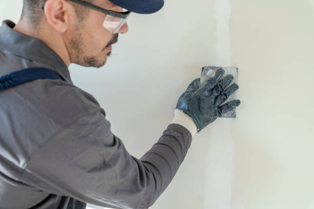 Mold Remediation for Vacation Homes in Manton, MI