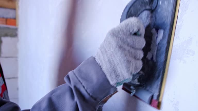 Best Emergency Mold Remediation  in Manton, MI