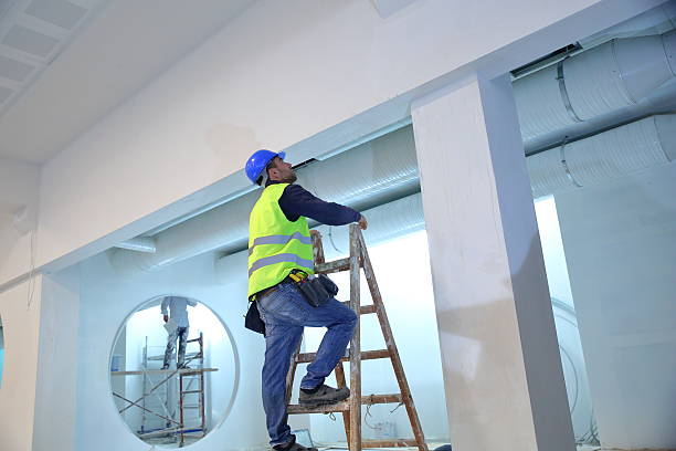 Best Asbestos and Lead Testing During Mold Inspection  in Manton, MI