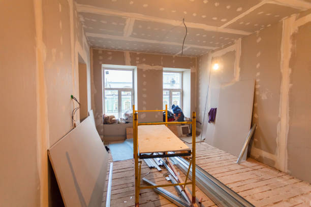 Biohazard Mold Removal in Manton, MI